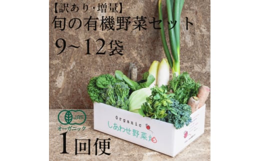しあわせ野菜畑のシェフLセット　(訳あり規格外の有機野菜を一部使用)【1608189】