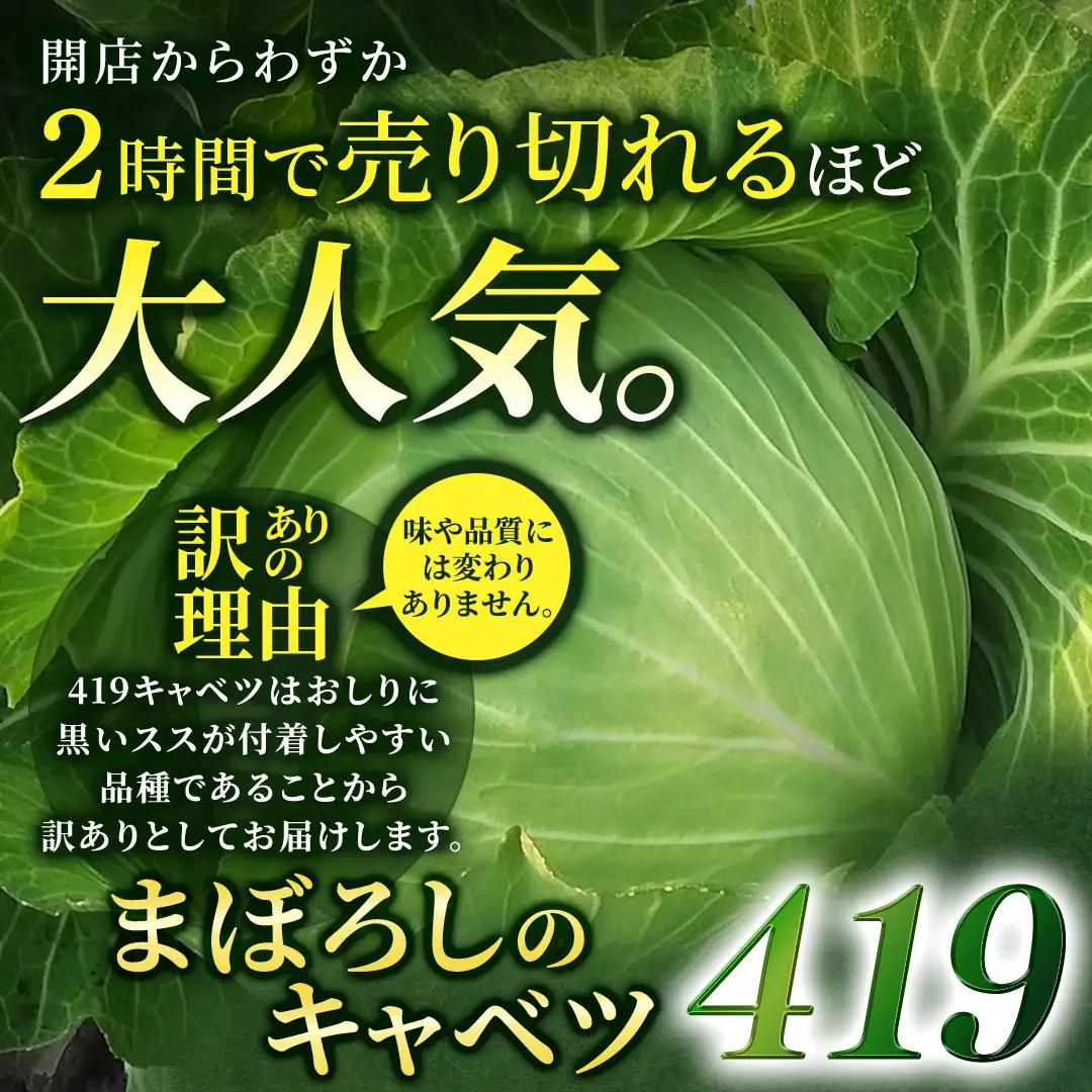 【ふるなびWEEK対象】＜レビューキャンペーン開催中＞【7月中旬発送開始】訳あり まぼろしの419キャベツ 4玉 [AL006tu] 