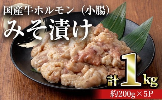 
            国産牛ホルモン（小腸）みそ漬け(計1kg・約200g×5パック) 牛肉 ホルモン みそ漬け【おきどき】A817-v01
          