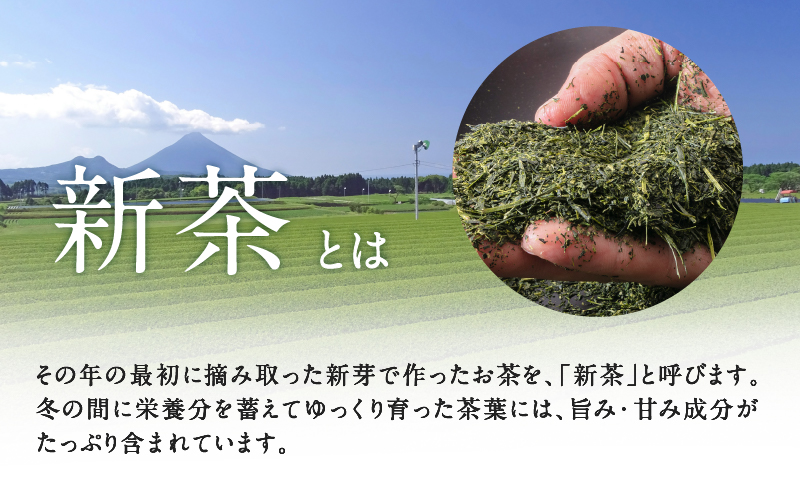 茶問屋のあまくておいしい鹿児島茶ティーバッグ　5本セット　K112-008