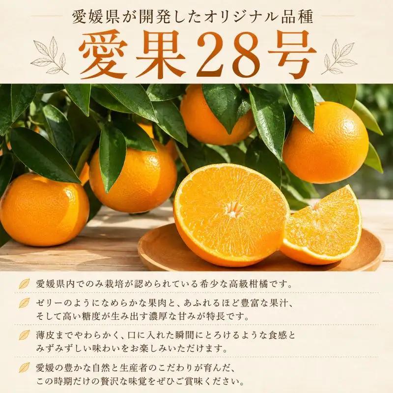 愛果28号 (紅まどんな と同品種) 約5kg 【2026年11月中旬頃より順次発送】 | あいか 愛果28号 紅まどんな と同品種 みかん 柑橘 アイカ 先行予約 ミカン かんきつ 果物 フルーツ 