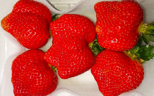 3LA2 厳選大粒あまおう（4パック）