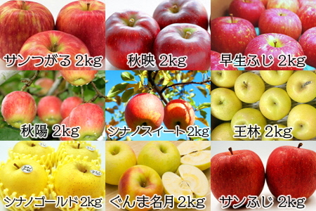 【2025年9月～12月発送】【定期便9回】「秀品」りんご2kg×9種_H219(R7)