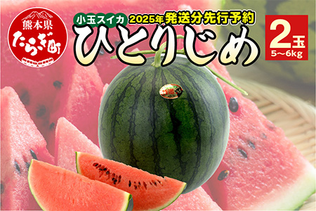 【2025年5月上旬～発送 先行予約】小玉スイカ ひとりじめ (2玉) 令和7年 夏 スイカ 食べきりサイズ 西瓜 フルーツ 果物 旬の味覚 すいか 甘い 産地直送 008-0663