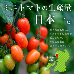 【定期4回】『大家ファーム』のミニトマト アイコ 2kg × 4回 | 野菜 やさい とまと トマト ミニトマト アイコ 定期 定期便 熊本県 玉名市
