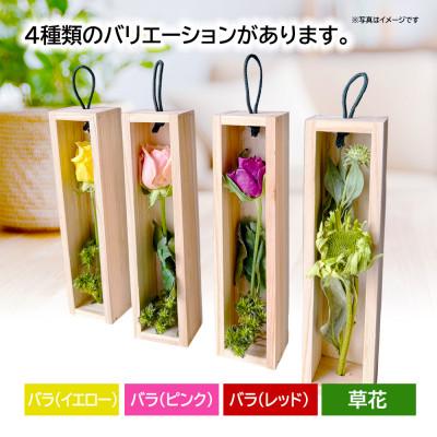 ふるさと納税 酒田市 ゼロフラワー「花いちりん」S/バラ(レッド)　フリーズドライフラワーインテリアシリーズ |  | 03