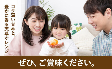 ハウス追熟 天草オレンジ 4玉～9玉入 【配送不可地域あり】※離島