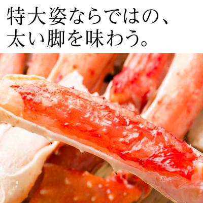 ふるさと納税 天塩町 ☆【12月30日着】タラバ姿【3.6〜3.9kg】北海道産 |  | 02
