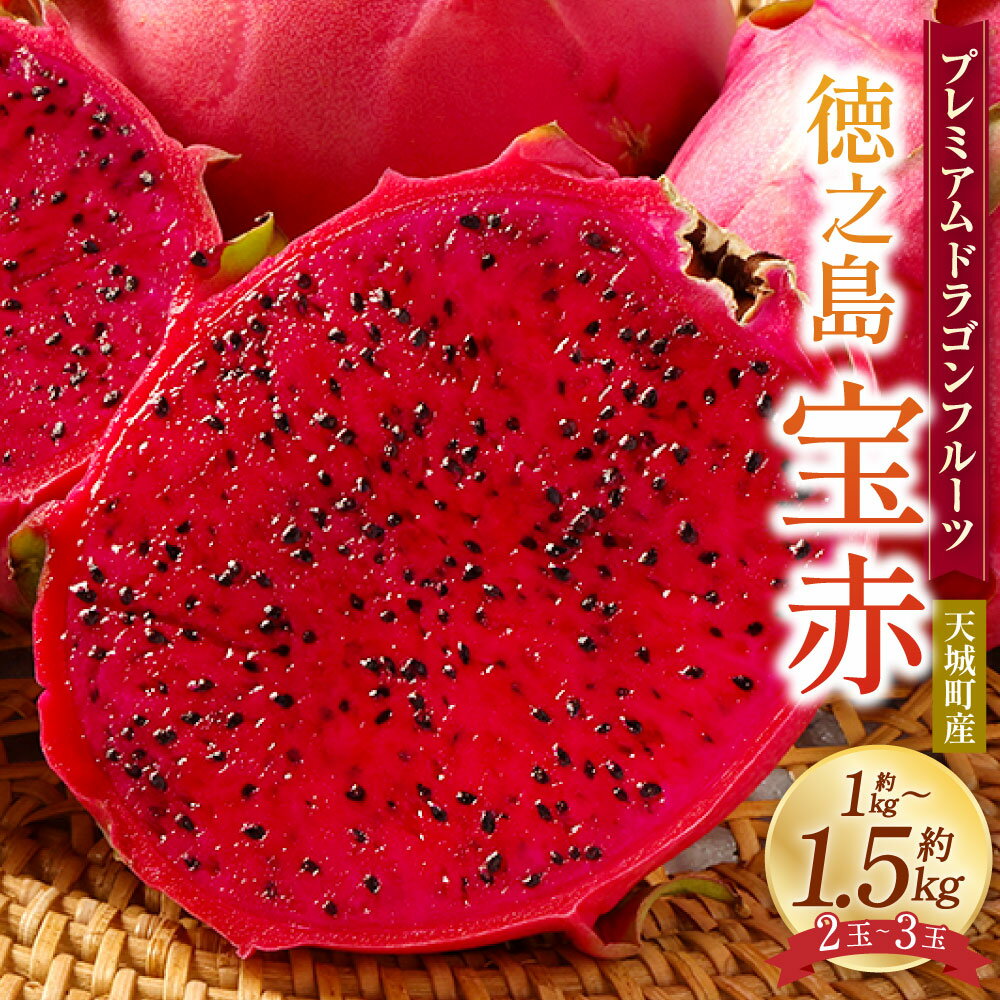 【ふるさと納税】【2026年発送】プレミアム ドラゴンフルーツ 赤玉 1～1.5kg(2玉～3玉) 天城町産 徳之島宝赤 トロピカルフルーツ フルーツ 果物 果実 ピタヤ
