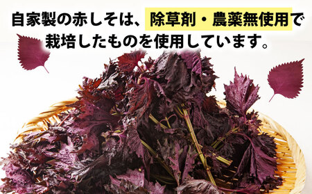 梅干し 1.3kg 先行予約 夢萬開 梅干し しそ漬け F010-105001