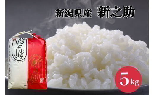 【令和7年産新米】 新之助 5kg (5kg×1袋) 塩田農園 新潟県 阿賀野市 米 白米 精米 コク 甘味 旨味 3O01021
