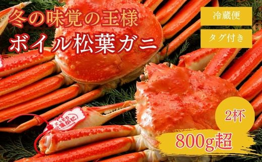 【2025年２月・３月発送】 特撰 松葉がに 【タグ付き】 800g超の大きいサイズ 特大2杯 ボイル 松葉ガニ カニ ズワイガニ カニ爪 冷蔵