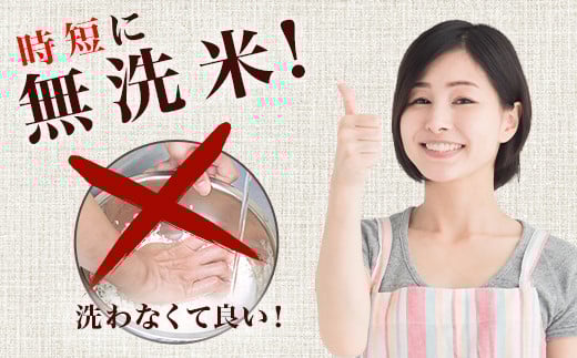 223-1【令和7年産】茨城町産 無洗米 ふくまる・ミルキークイーン セット 20kg(5kg×4袋)【野口ライス】