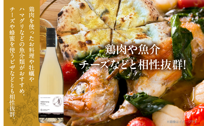 【数量限定】アンベラシー ホワイト(計1本) ワイン 酒 アルコール 国産_T014-048