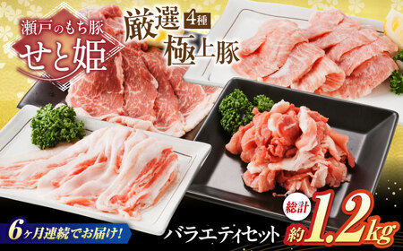 【全6回定期便】バラエティセット約1，200g (肩ロース・バラ・小間切れ・豚トロ 各300g)  [BAER080]豚肉