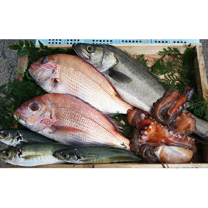 【ふるさと納税】まえもん鮮魚BOX 魚介類 魚貝類 セット 詰め合わせ