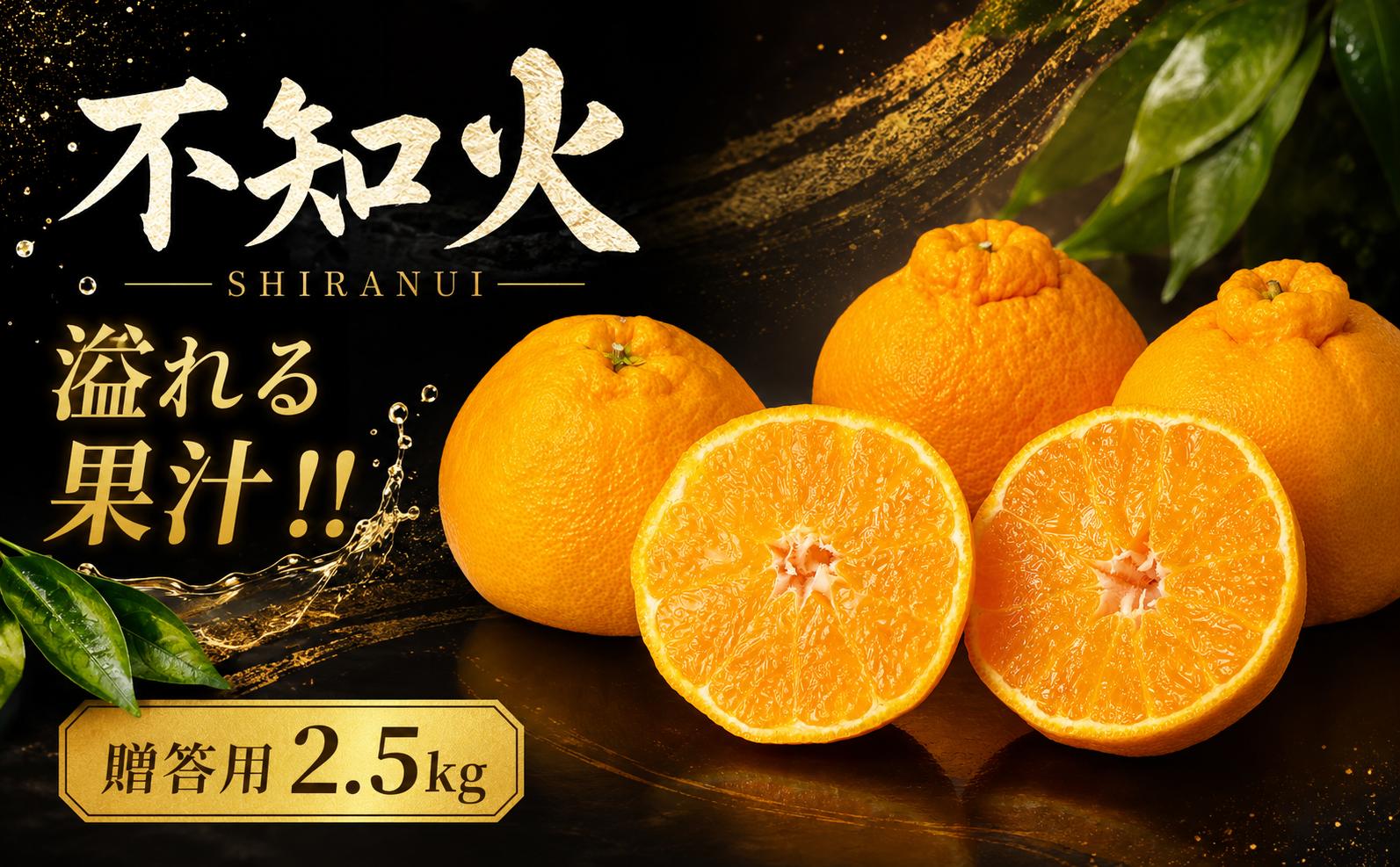 
                  不知火 約2.5kg 4L みかん しらぬい デコポン 贈答用 秀品 先行予約 オススメ 蜜柑 柑橘 果物 フルーツ 徳島県 鳴門 いがみ果樹園 
                