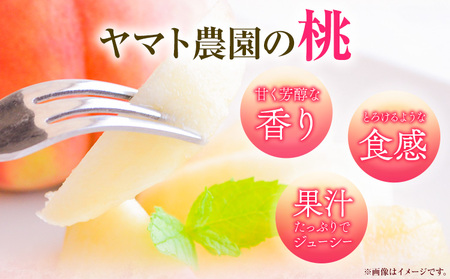 モモ もも 2kg ヤマト農園 【配送不可地域あり】 桃