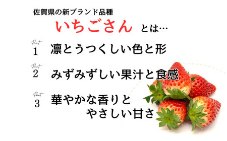 ＜予約受付＞【3回定期便】有田いちご 朝摘み完熟いちご4パックを毎月お届け！ (1月～3月の全3回) 240g×4パック【みゆきファーム】有機肥料にこだわった美味しいいちごです いちごさん F35-1
