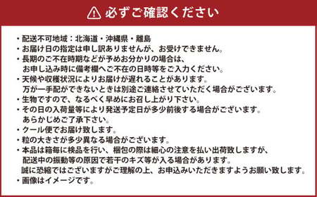 岡山県産 シャインマスカット 晴王 約5kg（5房～10房） 【2025年8月下旬～11月下旬迄発送予定】 果物 くだもの フルーツ ぶどう ブドウ 葡萄 マスカット