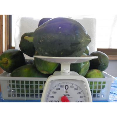 ふるさと納税 奄美市 皮むき1/4カット青パパイヤ1kg |  | 02