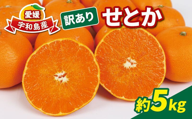 
訳あり せとか 5kg マル南フルーツ 柑橘の大トロ 高級 ブランド 希少 品種 mikan 愛媛みかん 愛媛蜜柑 愛媛ミカン 宇和島みかん 高級みかん 人気みかん みかん 訳アリ 訳あり品 果物 くだもの フルーツ 柑橘 蜜柑 産地直送 数量限定 国産 愛媛 宇和島 B012-106023
