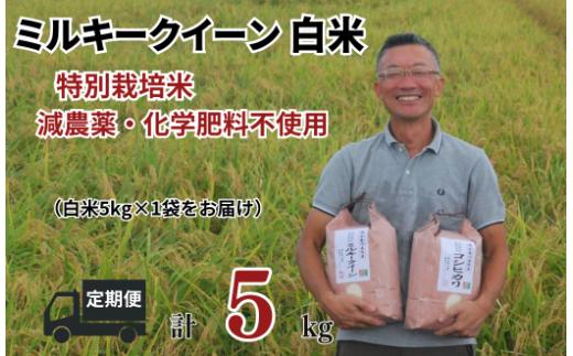 特別栽培米 ミルキークイーン 白米 5kg （5kg×1袋） 令和７年産 2025年産 小分け 単一米 精米  減農薬 化学肥料不使用 埼玉県認証 埼玉県 川島町