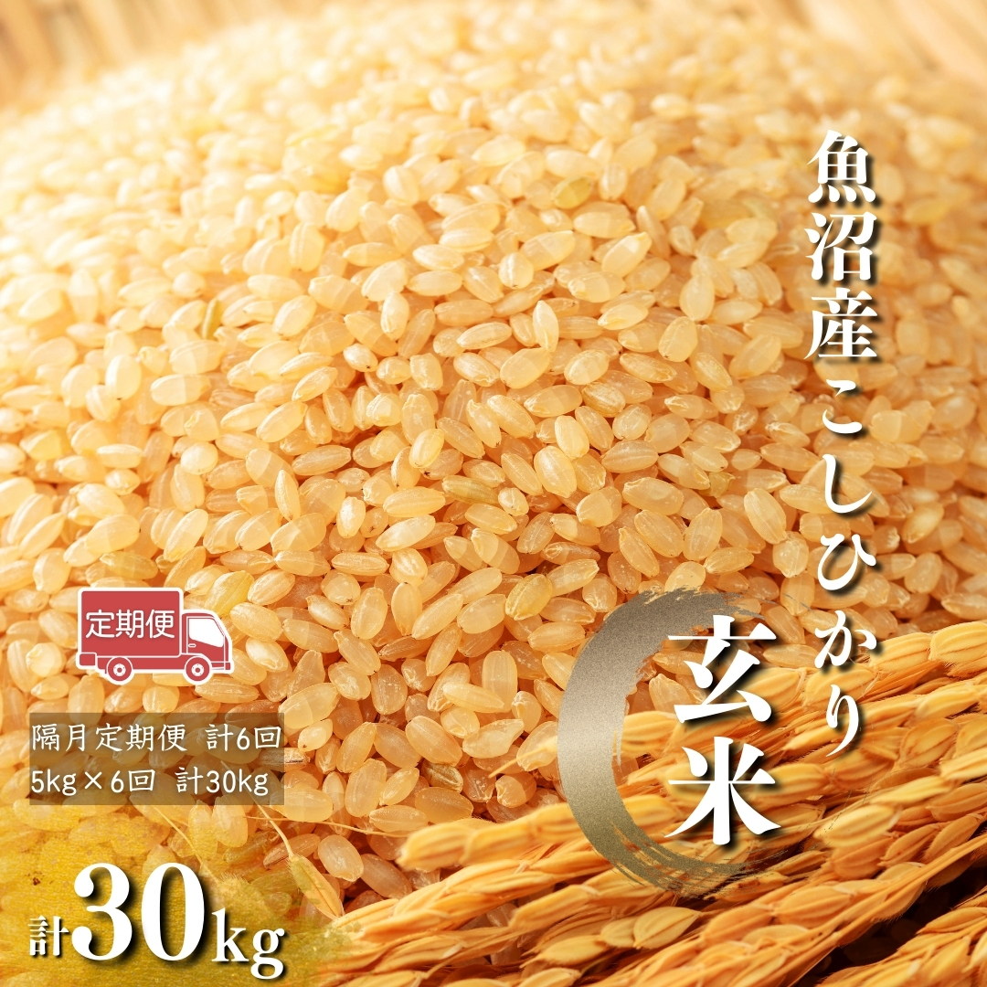 【玄米 選別品】令和7年産 魚沼産コシヒカリ 玄米 定期便5kg×6回 （隔月お届け）米太 | 新潟県産 コシヒカリ お米 米 おこめ こめ コメ こしひかり 魚沼産 ブランド米【0020-KT10DB00】