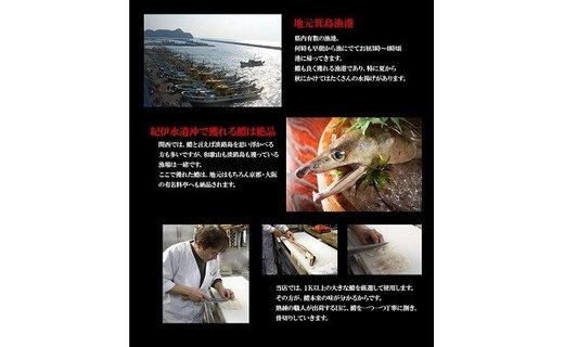 185 プレミア和歌山の辰ヶ鱧！鱧しゃぶセット２～３人前(A185-1)