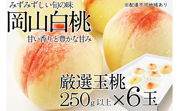 
            桃 2025年 先行予約 岡山の白桃 250g以上×6玉 白桃 旬 みずみずしい 晴れの国 おかやま 岡山県産 フルーツ王国 果物王国
          