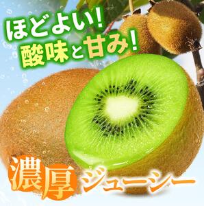 ＜11月より発送＞家庭用 キウイ5kg+250g（傷み補償分）【訳あり・扁平果】【ikd039D】