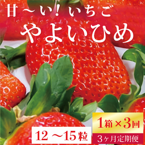 【2026年2月より順次発送】【3ヶ月定期便】甘～い！いちご やよいひめ 1箱(12粒～15粒入り)｜いちご イチゴ 苺 ストロベリー やよいひめ 果物 くだもの フルーツ 定期便 フルーツ定期便 先行予約 茨城県 行方市(V-16)