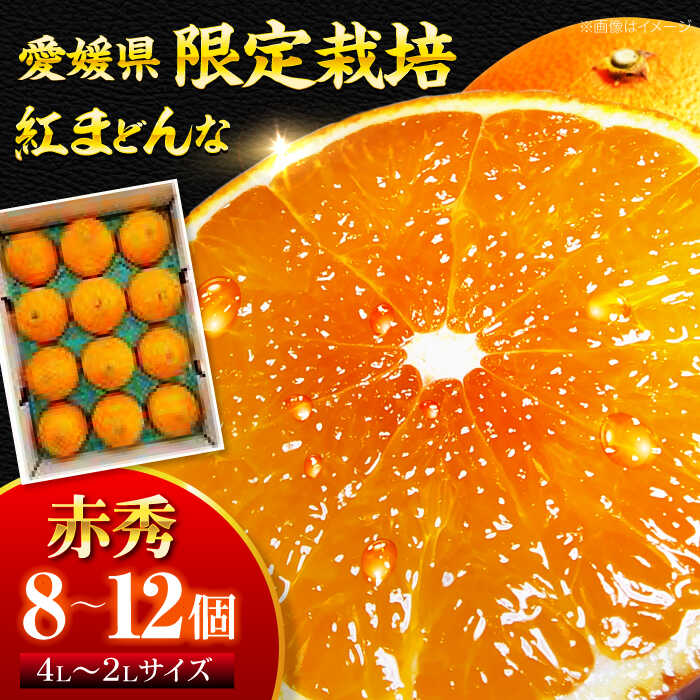 【ふるさと納税】紅まどんな 赤秀 8個から12個入（JA愛媛たいき管内産）【11月下旬から順次発送】 大洲市/フジ・アグリフーズ[AGBA002] みかん ミカン 紅まどんな 果物 くだもの フルーツ 大洲市産 産地直送 おすすめ 人気