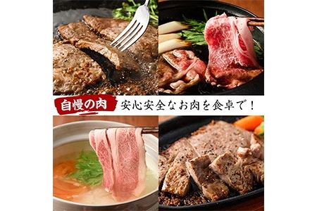 No.606 鹿児島県産黒毛和牛すきしゃぶ用ロース肉(600g)国産 九州産 牛肉 黒毛和牛 和牛 ロース スライス 数量限定 すき焼き しゃぶしゃぶ 冷凍【さつま屋産業】