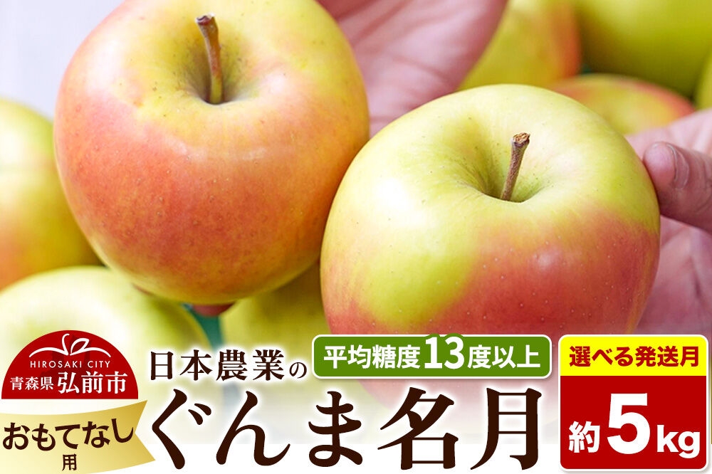 
                  りんご【選べる 26年11月～27年3月 発送】ぐんま名月【おもてなし用】約5kg 平均糖度13度以上 青森県 弘前市 果物 フルーツ 林檎 リンゴ くだもの [先行受付 産地直送 アップル 青森県 弘前市]
                