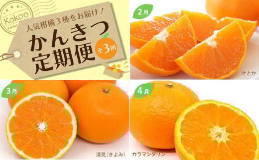 
            定期便 全3回(2～4月配送) 先行予約 春かんきつ定期便 せとか きよみ カラマンダリン みかん 松山市 愛媛県 定期便 お楽しみ 旬 フルーツ 果物 定期便 果物 頒布会 松山おすすめ
          