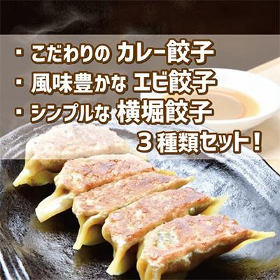 ふるさと納税 三郷市 【国産素材】自家製モチモチ皮の手包み餃子(黄金色のカレー・風味抜群のエビ・やさしい横堀餃子)55ヶ |  | 01