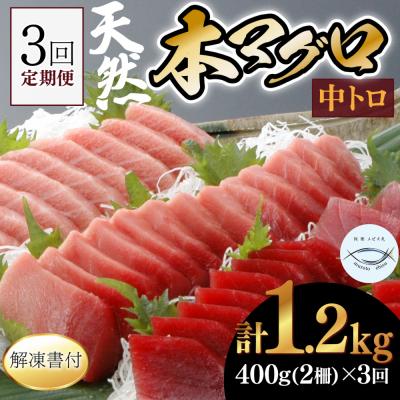 ふるさと納税 室戸市 【3回定期便】天然本マグロ　中トロ　2柵　解凍書付 海鮮 魚介 鮪 惣菜 冷凍 クロマグロ まぐ