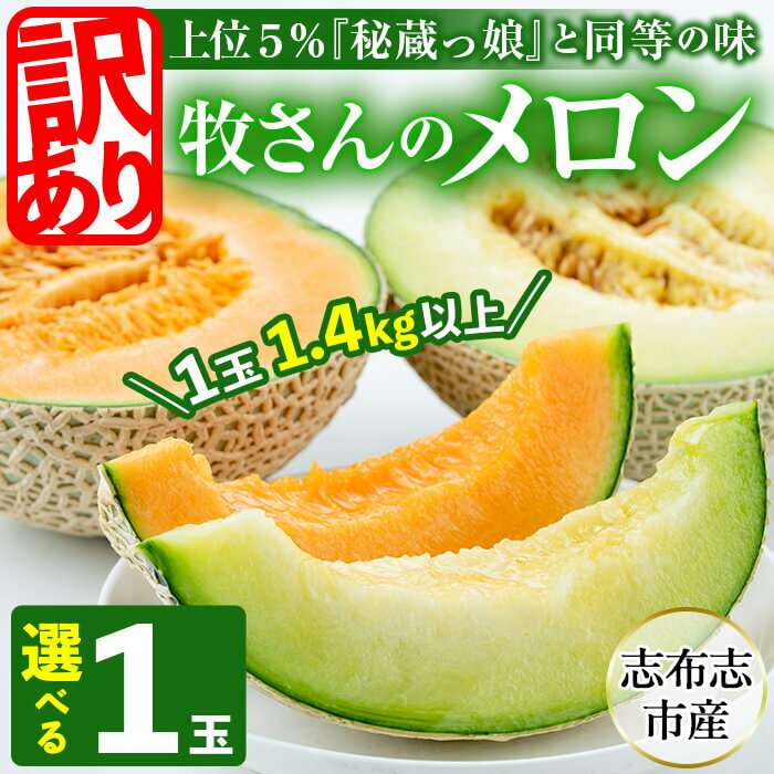 【ふるさと納税】【訳あり・数量限定】【春限定メロン】＜R7年3月中旬～5月上旬頃発送予定＞牧さんの訳ありメロン！選べる赤玉・白玉どちらか1玉(1.4kg以上)鹿児島県志布志市産！安心安全、高級フルーツ国産マスクメロン【ファームランド牧】