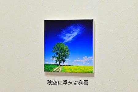 写真家　阿部俊一　キャンバスプリント(228mm × 228mm)[022-33]