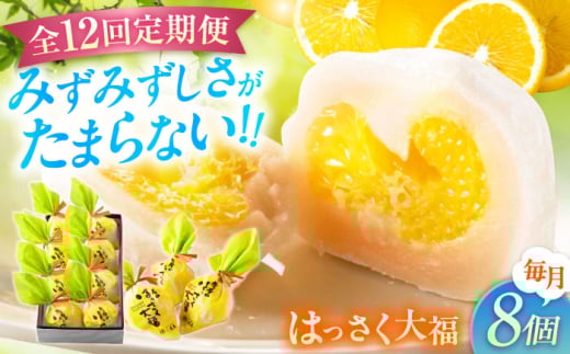 【全12回定期便】お菓子 はっさく大福8個入　 お菓子 大福 八朔 柑橘 みかん オレンジ 餅 ギフト お取り寄せ スイーツ フルーツ大福 ご当地 菓子 おかし デザート 食品 人気 おすすめ 広島県福山市/株式会社虎屋本舗[BADH024]