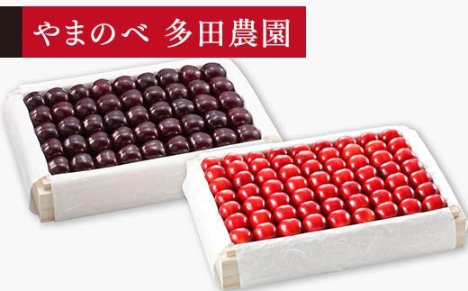 
            【紅姫・サミット】特選桐箱詰 約1,100g×2【やまのべ多田耕太郎のさくらんぼ 多田農園】
          