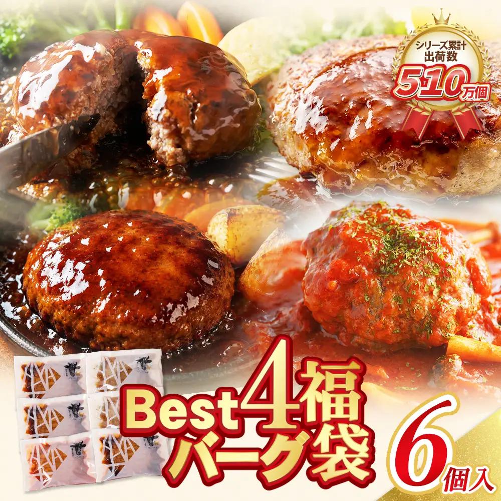 Z61-34 寄附額改定↓↓ Best4バーグ 4種 6個 セット ハンバーグ