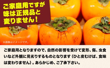 【ご家庭用】和歌山産のたねなし柿約7.5kg Lまたは2LサイズおまかせまたはM～3Lサイズ混合(個数目安:28玉～40玉)《10月上旬-11月末頃出荷予定》 和歌山県 紀の川市 紀の川市厳選館 柿 