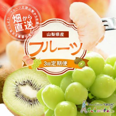 ふるさと納税 中央市 【発送月固定定期便】山梨県産 フルーツ【桃&amp;シャインマスカット&amp;キウイフルーツ】全3回