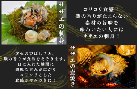 海産物詰め合わせセット