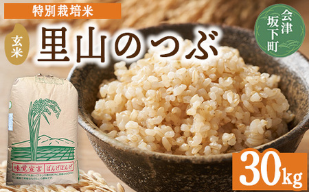 3-J 里山のつぶ玄米30kg 令和8年産 特別栽培米 ※2026年9月～発送