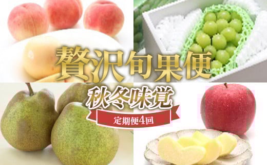 
            ≪数量限定 期間限定≫贅沢旬果便 ～秋冬味覚～ 白桃 シャインマスカット ラ・フランス サンふじりんご 定期便【全4回】 FSY-2228
          
