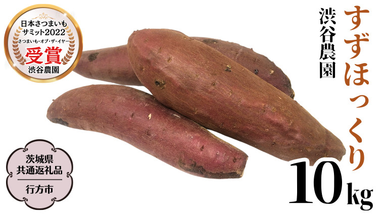 
            すずほっくり 約10kg 【茨城県共通返礼品／行方市】 渋谷農園 さつまいも  いも 芋 焼芋 [DT006sa]
          
