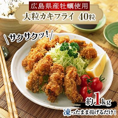 ふるさと納税 中間市 サクサクっ!国産大粒カキフライ40粒(約1kg) |  | 01